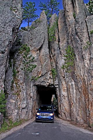 132 custer state park.JPG